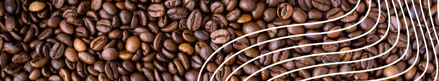 Find the Best Whole Bean Coffee