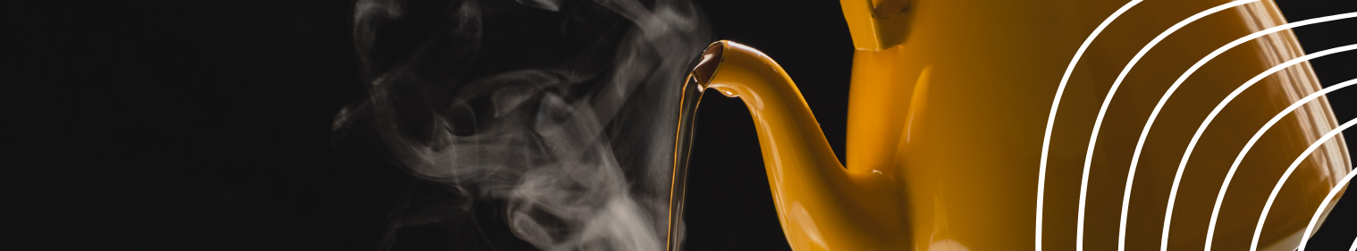 Find the Best Coffee Percolators