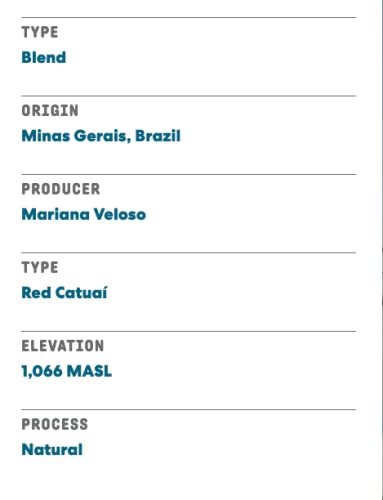 rich-full-bodied-whole-beans