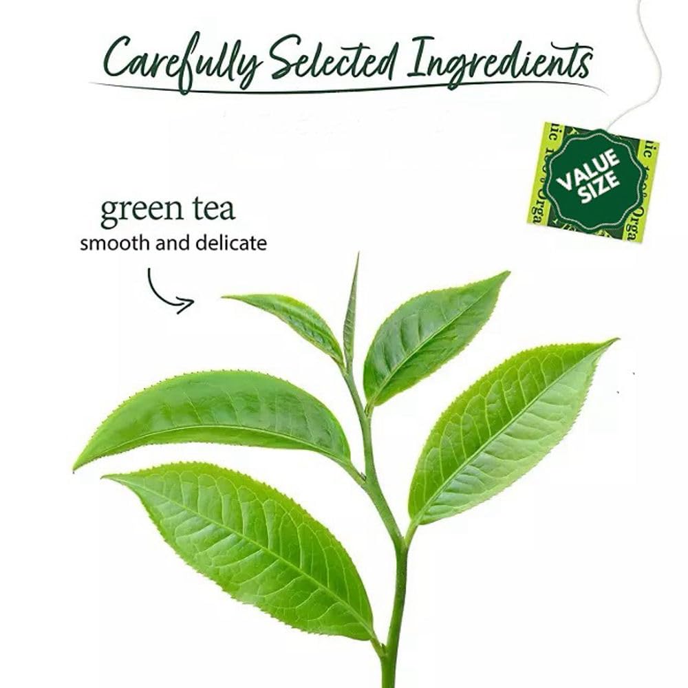 easy-to-brew-green-tea