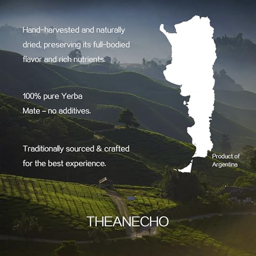top-rated-yerba-mate-theanecho