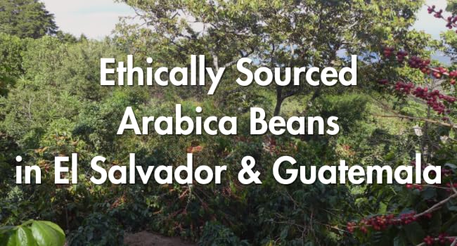 premium-whole-beans-caf-grumpy