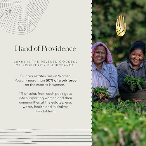 top-rated-chai-tea-luxmi