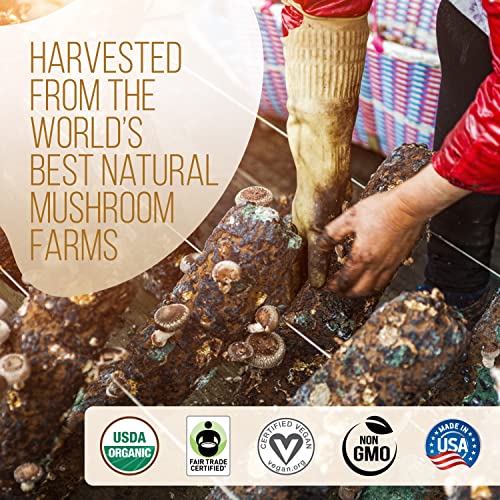 rich-full-bodied-decaf-coffee