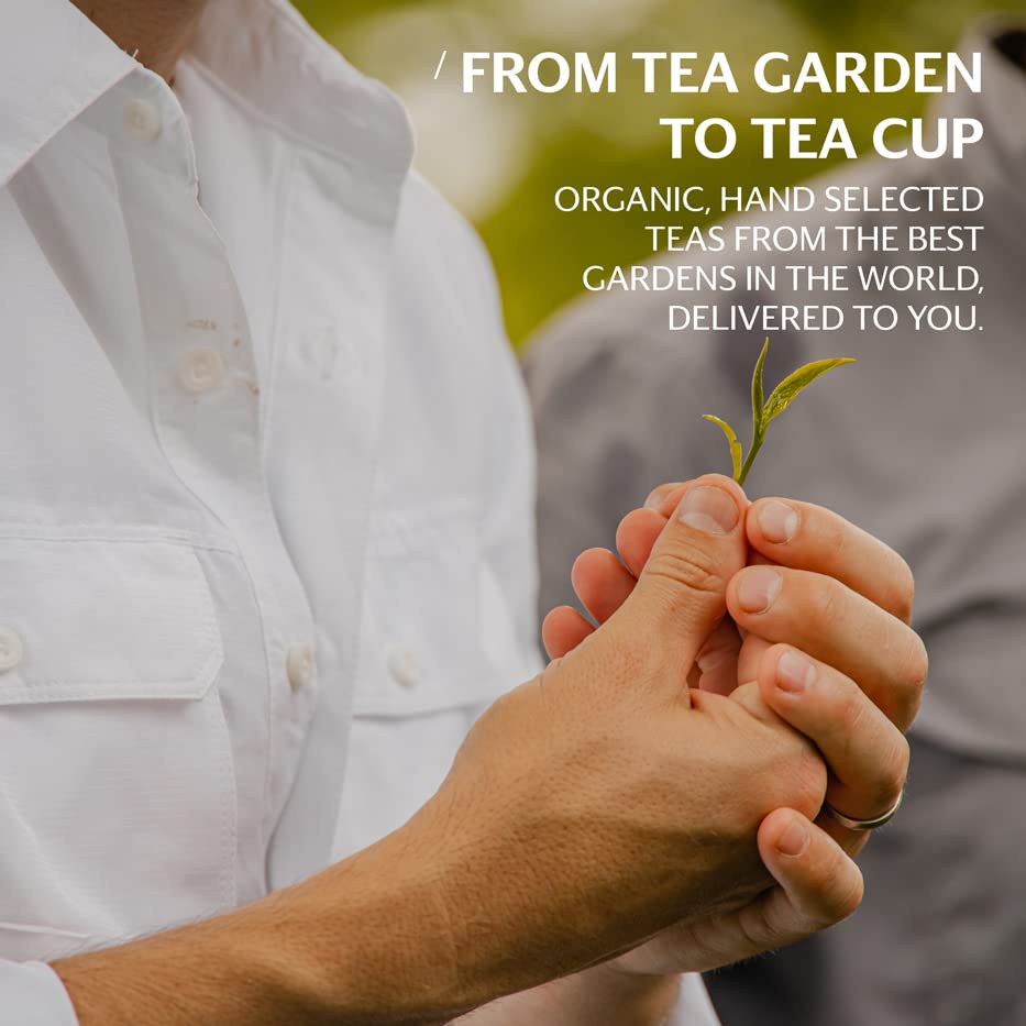 easy-to-brew-decaf-coffee