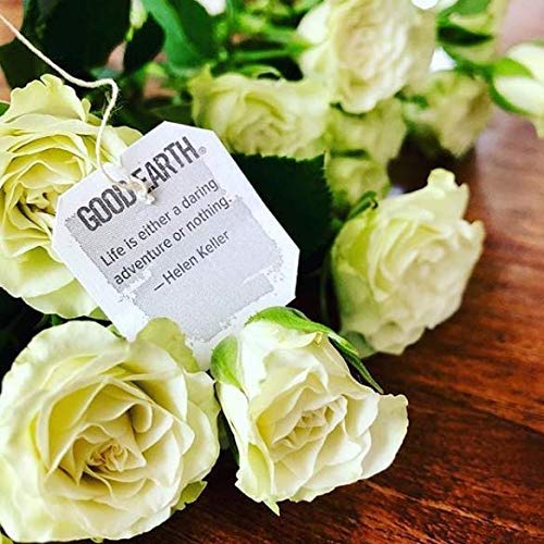 rich-full-bodied-matcha-powder