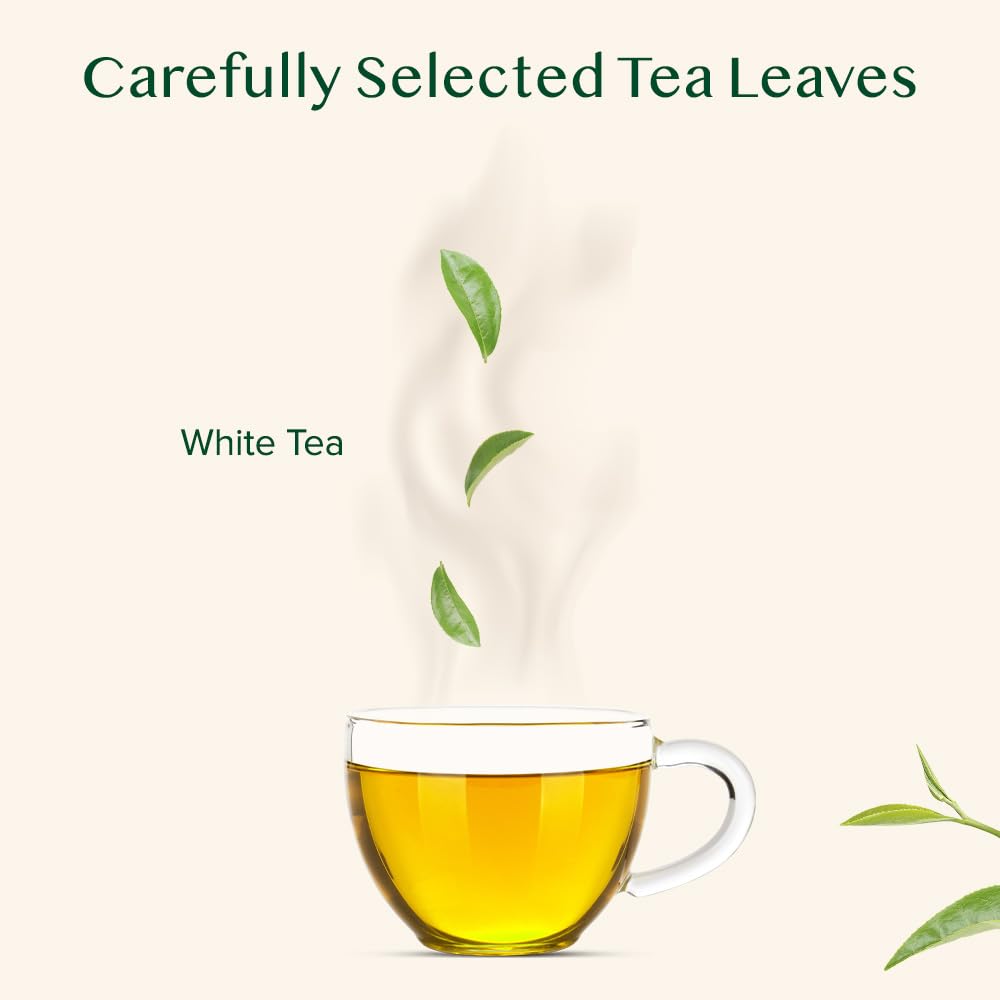 top-rated-instant-tea-vahdam