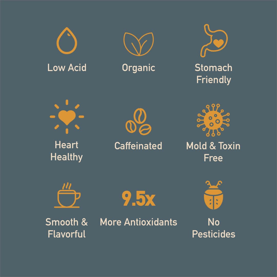 top-rated-whole-beans-thompson-s-healthy-bean-organic-coffee