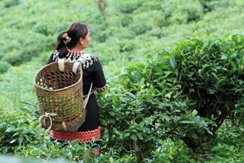 smooth-bold-flavor-instant-tea