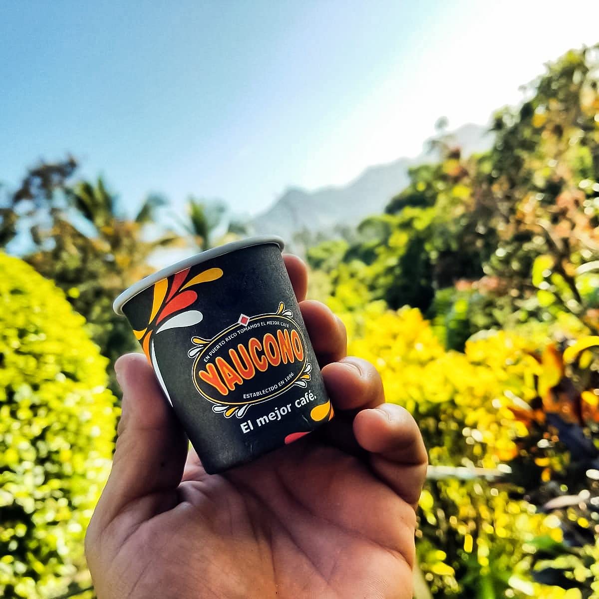 convenient-coffee-pods-k-cups-etc-single-serve