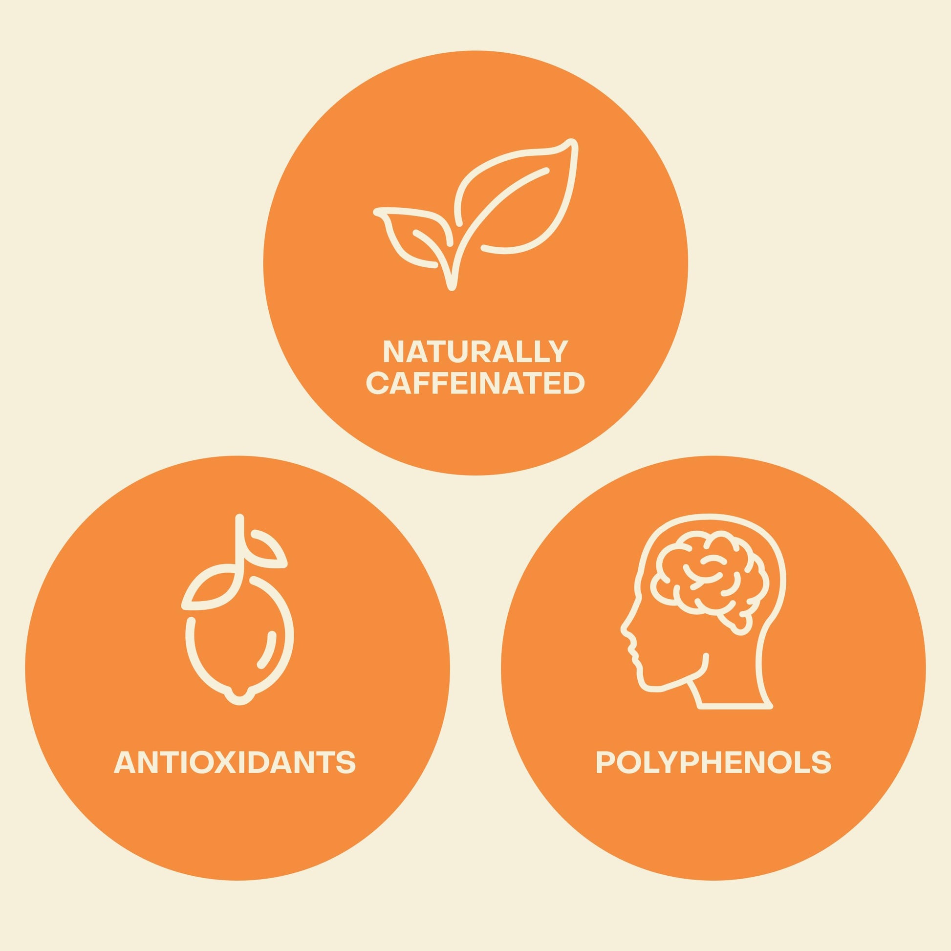 top-rated-black-tea-saint-james