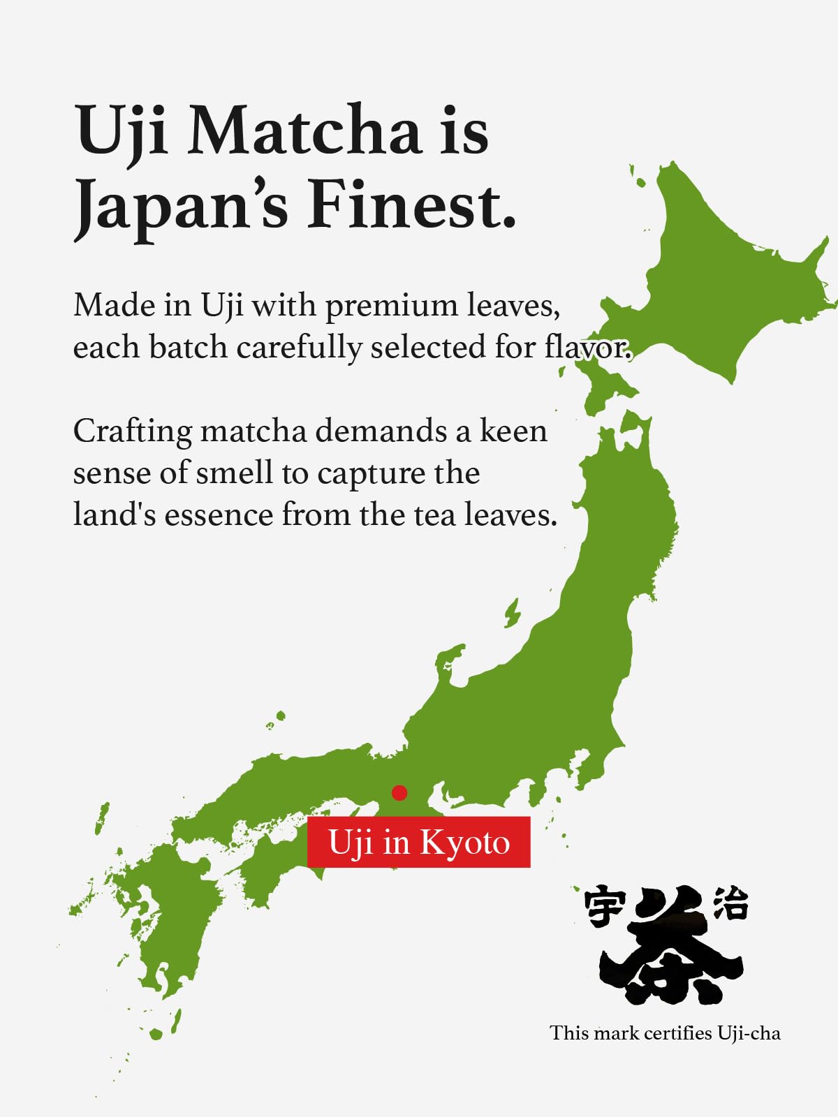 premium-matcha-powder