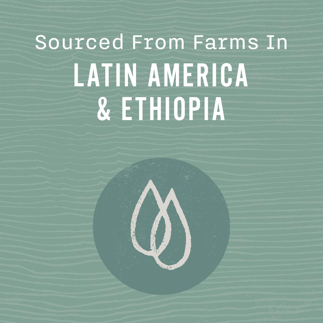 rich-full-bodied-whole-beans