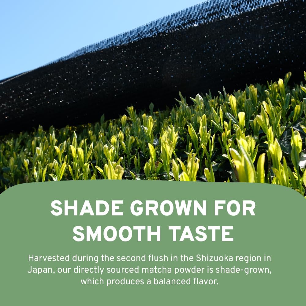 convenient-matcha-powder-multi-serve