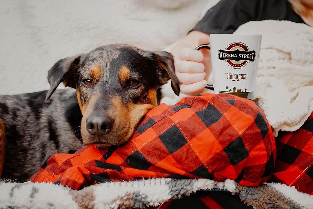 convenient-whole-beans-multi-serve