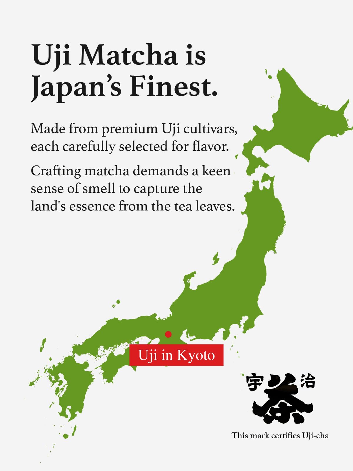 premium-matcha-powder