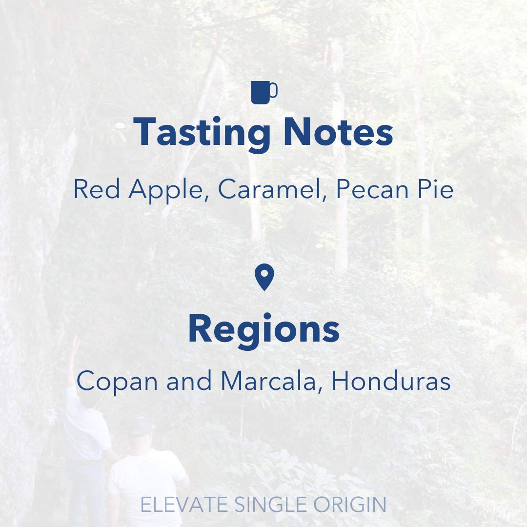 premium-whole-beans-partners-coffee-roasters