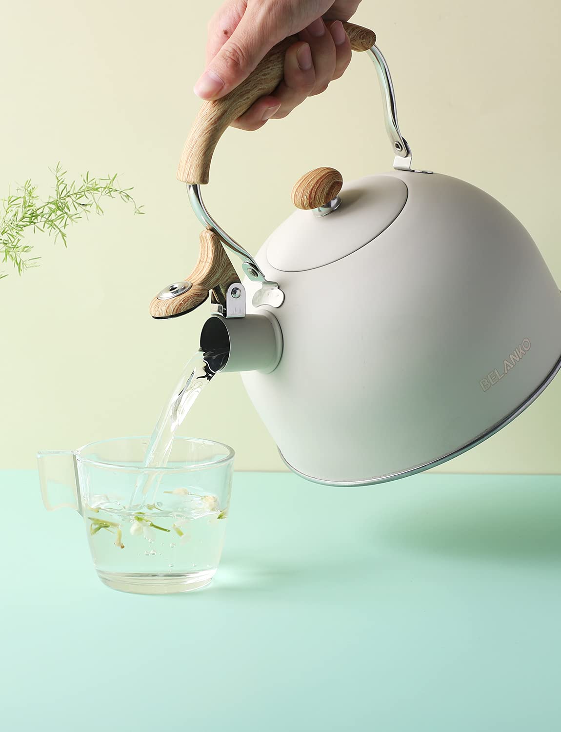 top-rated-instant-coffee-belanko