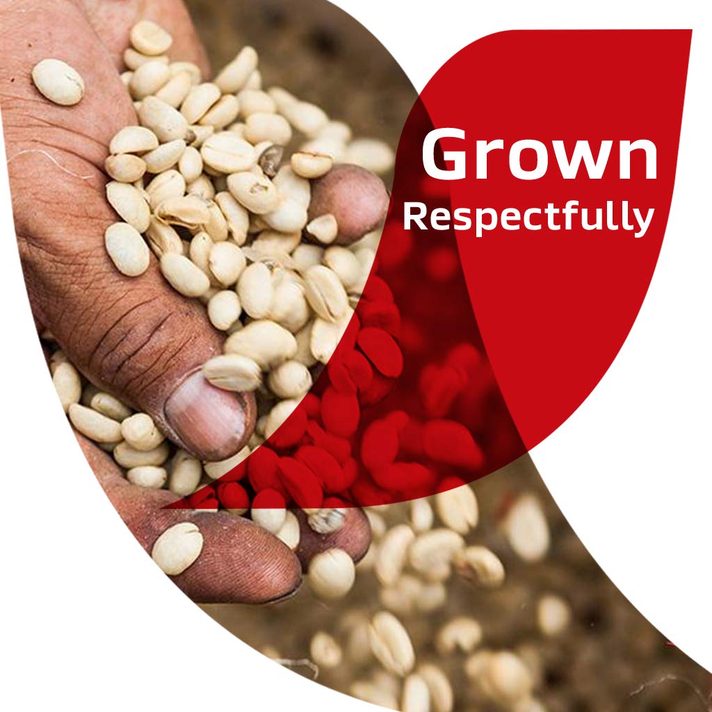 top-rated-instant-coffee-nescafe