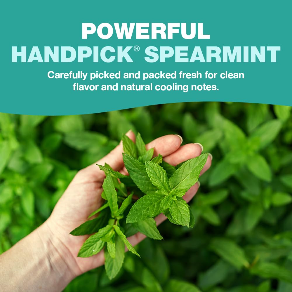 premium-instant-tea-handpick