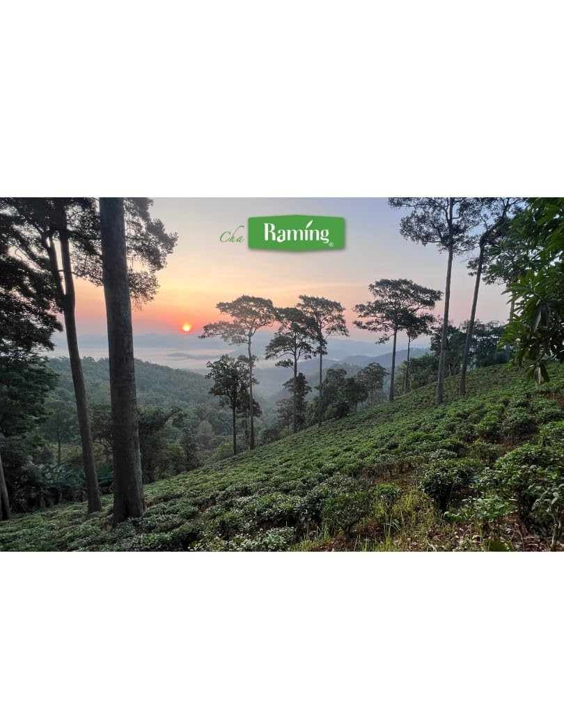 top-rated-black-tea-raming