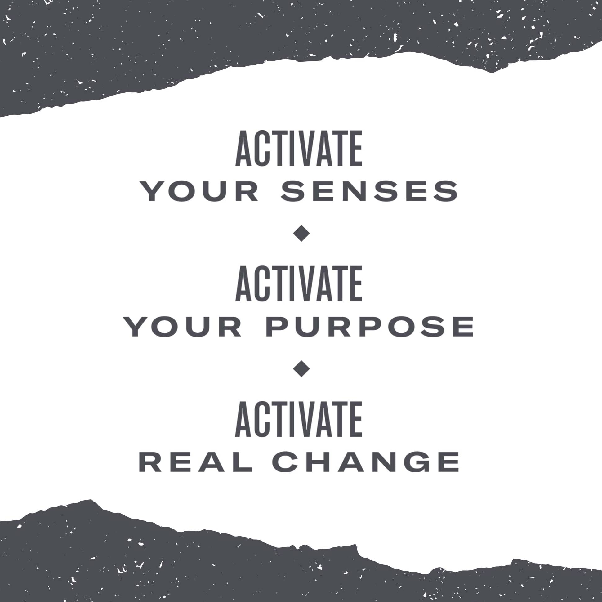 top-rated-black-tea-numi