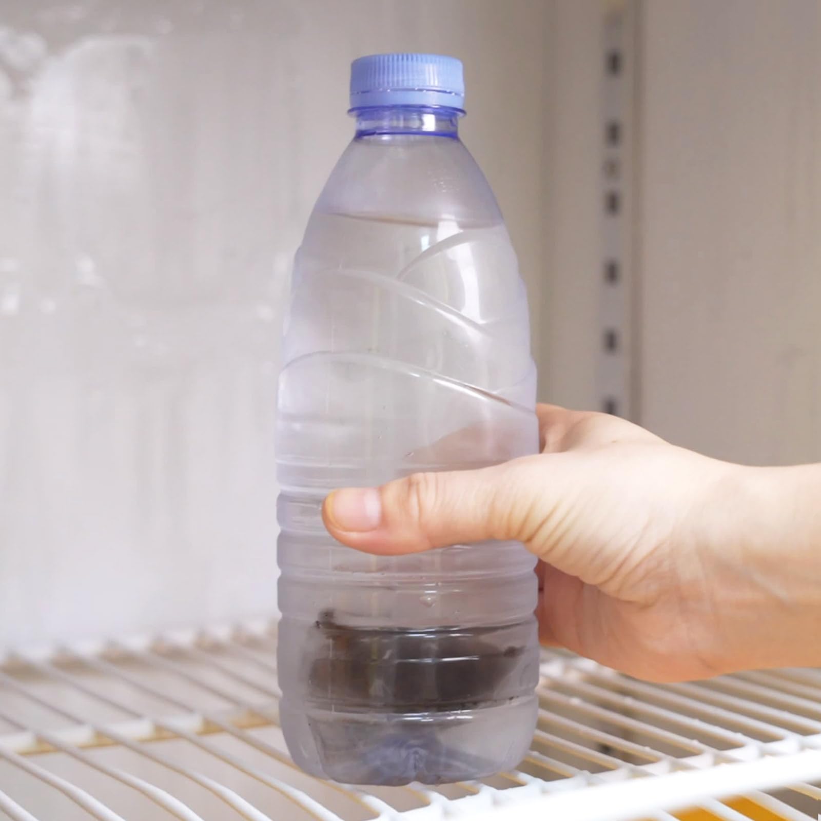 premium-cold-brew-coffee-choteaweis