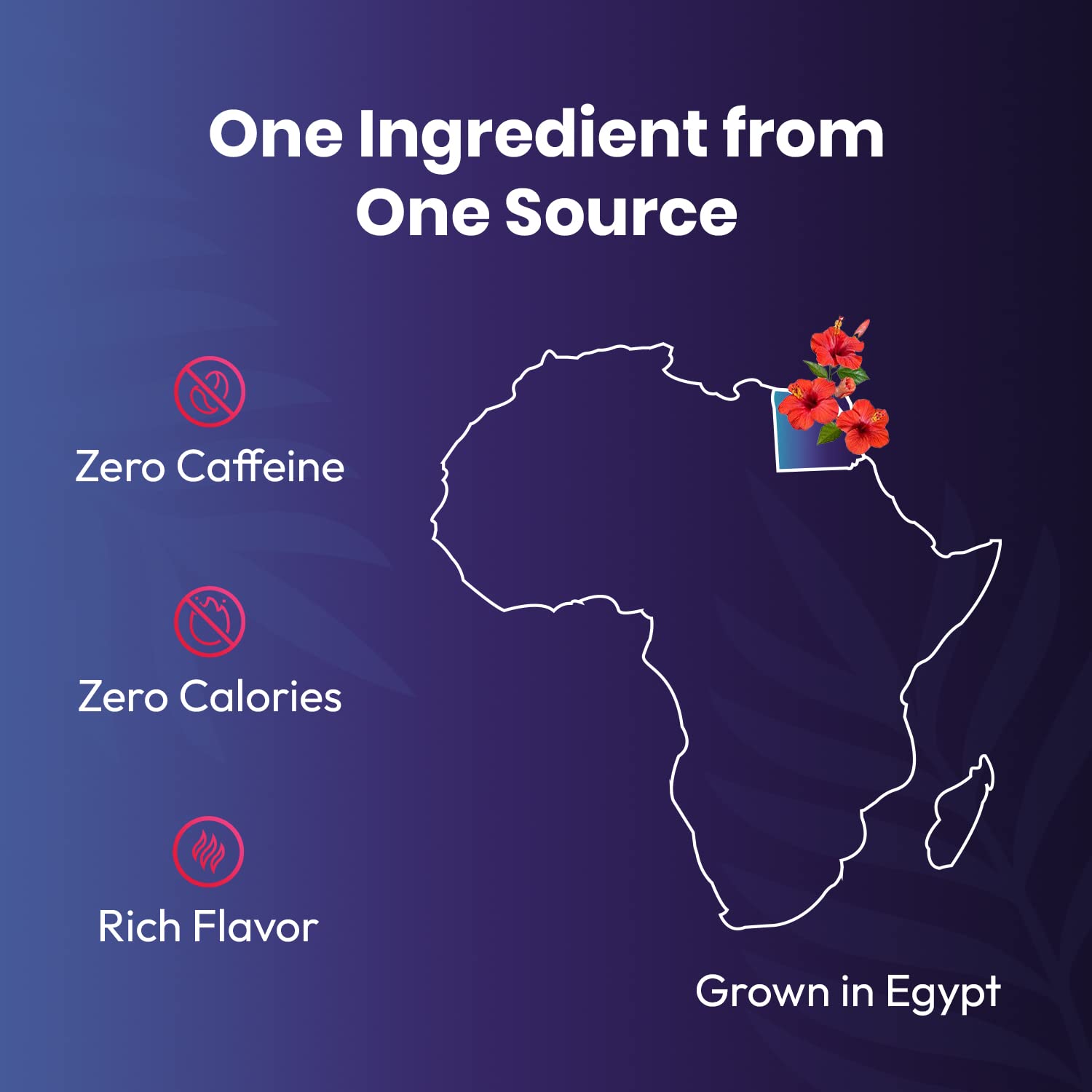 rich-full-bodied-instant-tea