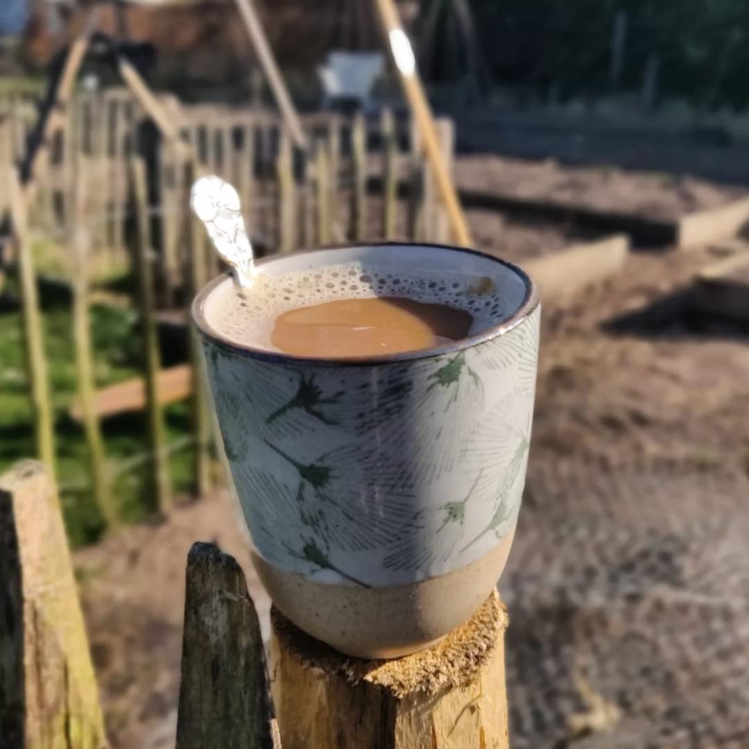 top-rated-chicory-coffee-dandy-blend