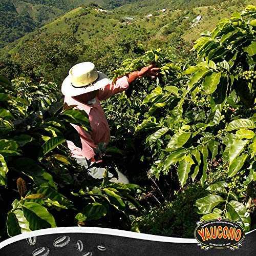 top-rated-coffee-pods-k-cups-etc-yaucono