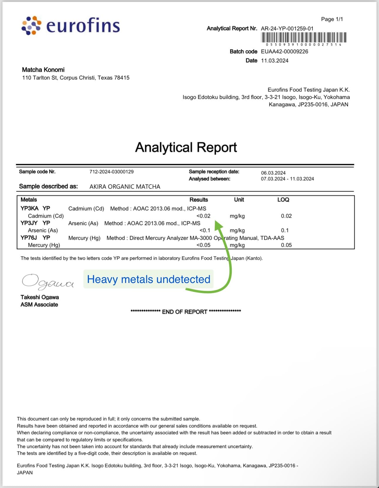 easy-to-brew-matcha-powder