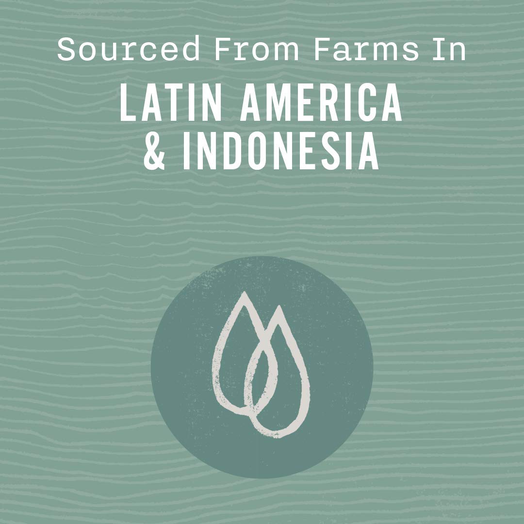 rich-full-bodied-whole-beans