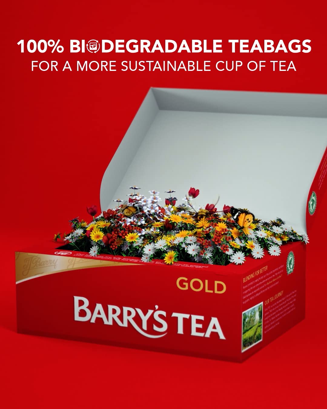 premium-instant-tea-barry-s-tea