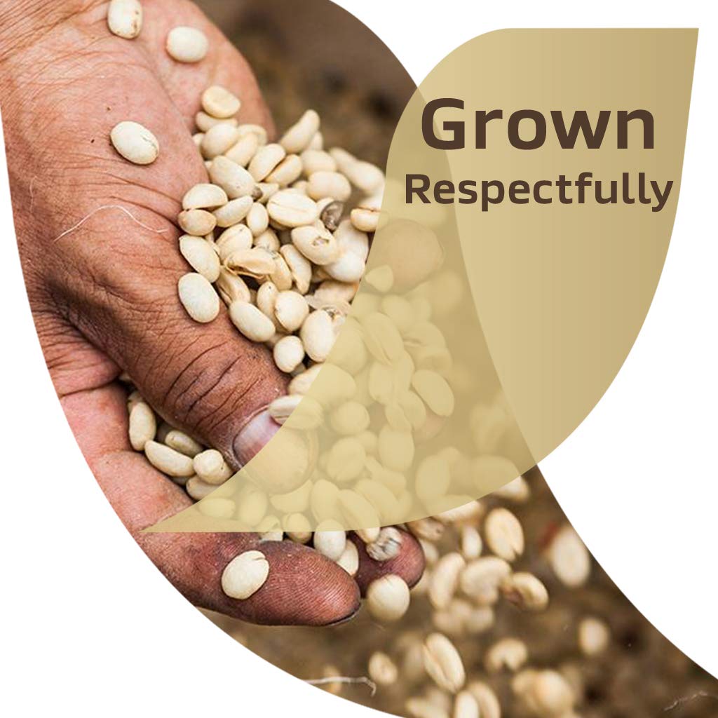 top-rated-instant-coffee-nescafe