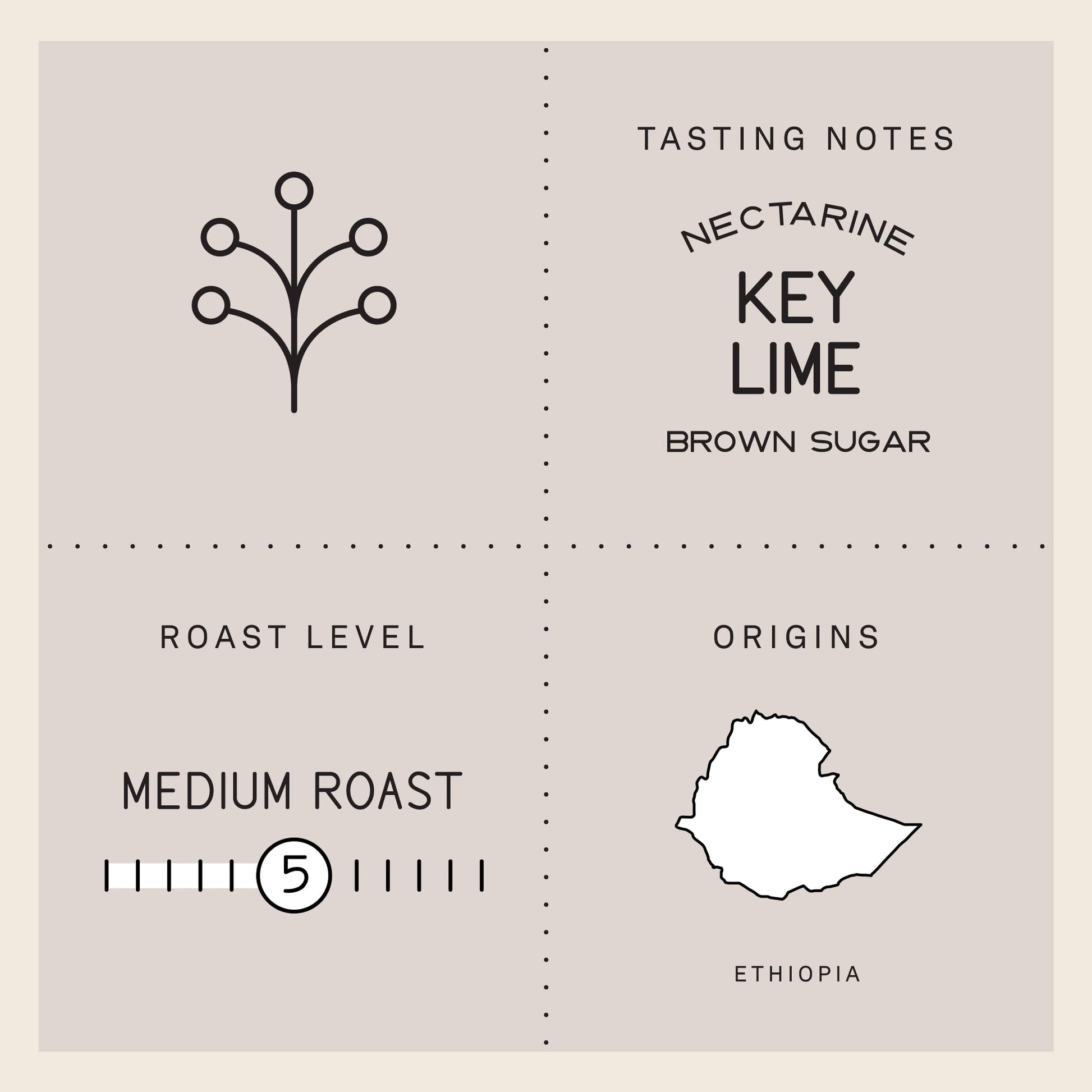 premium-whole-beans-verve-coffee-roasters