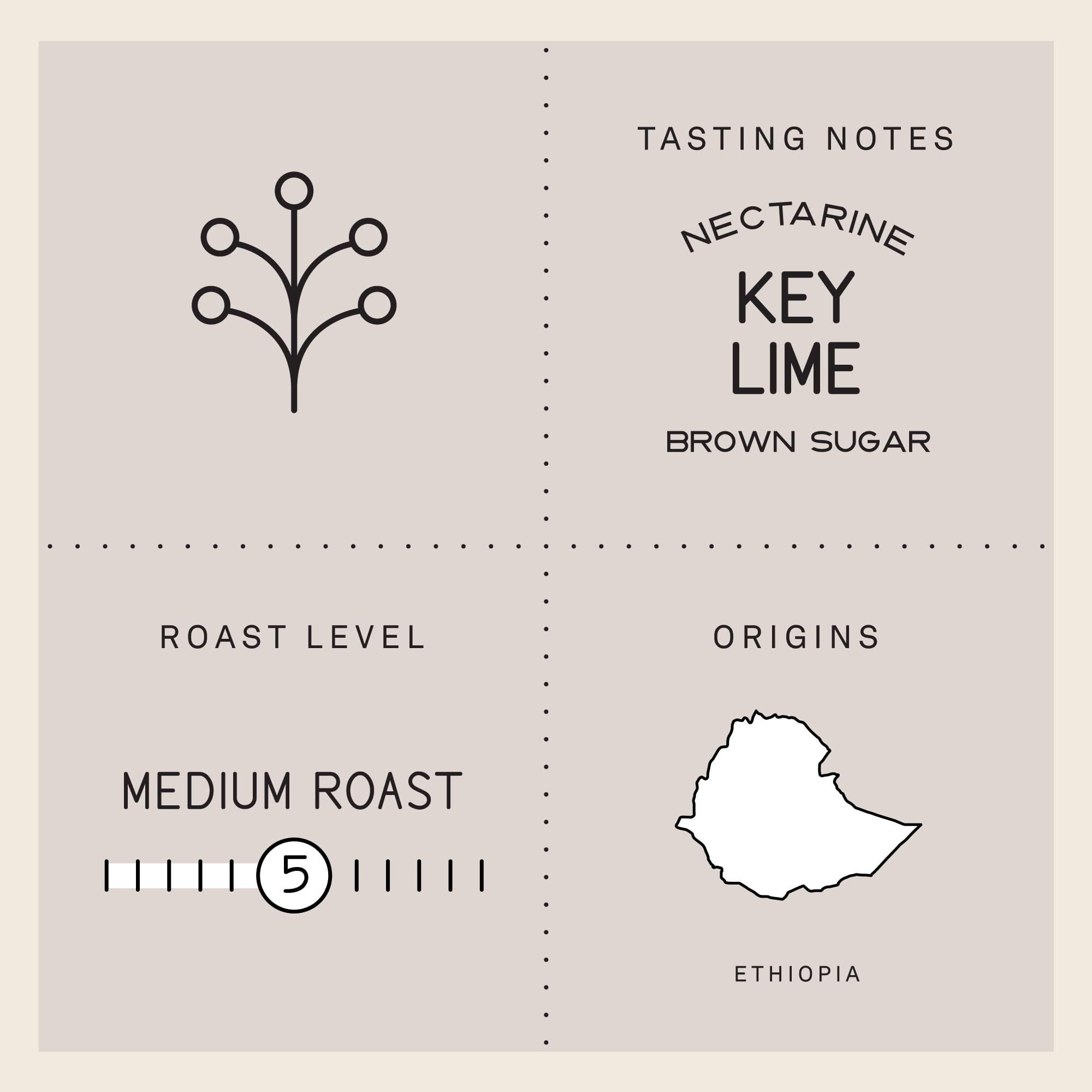 premium-whole-beans-verve-coffee-roasters