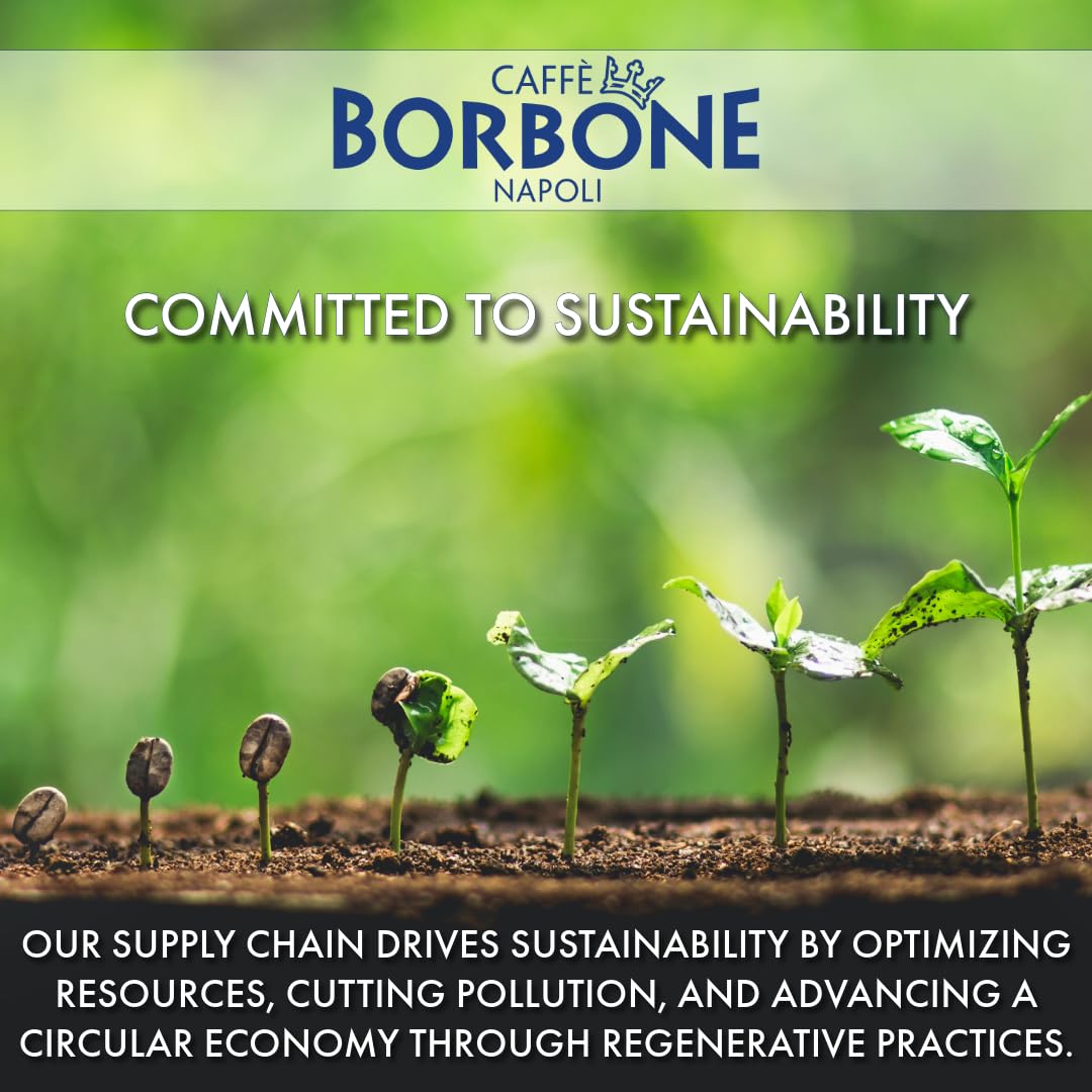 top-rated-whole-beans-caff-borbone