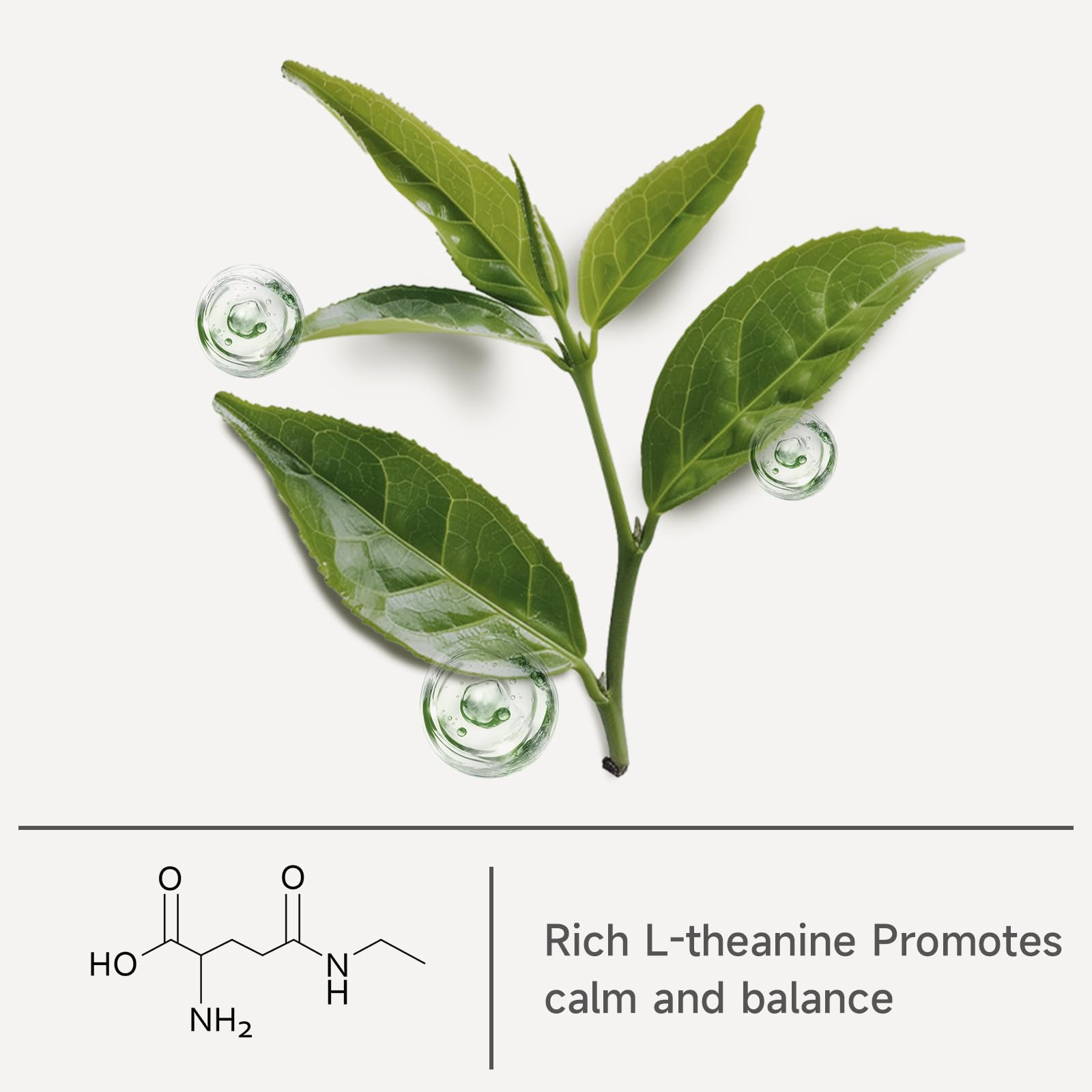 smooth-bold-flavor-matcha-powder