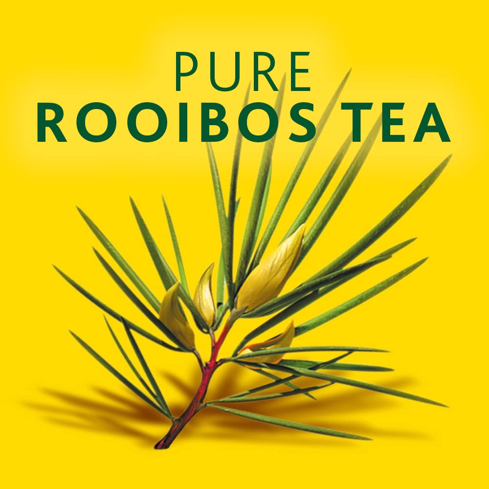 affordable-rooibos-tea