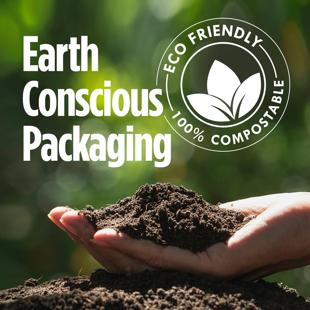 top-rated-mushroom-coffee-vitacup