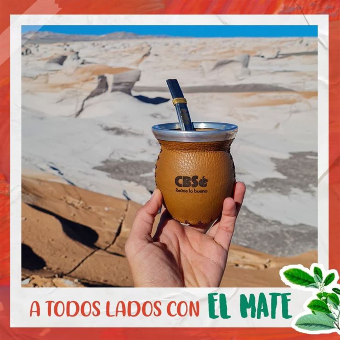 top-rated-yerba-mate-cbs