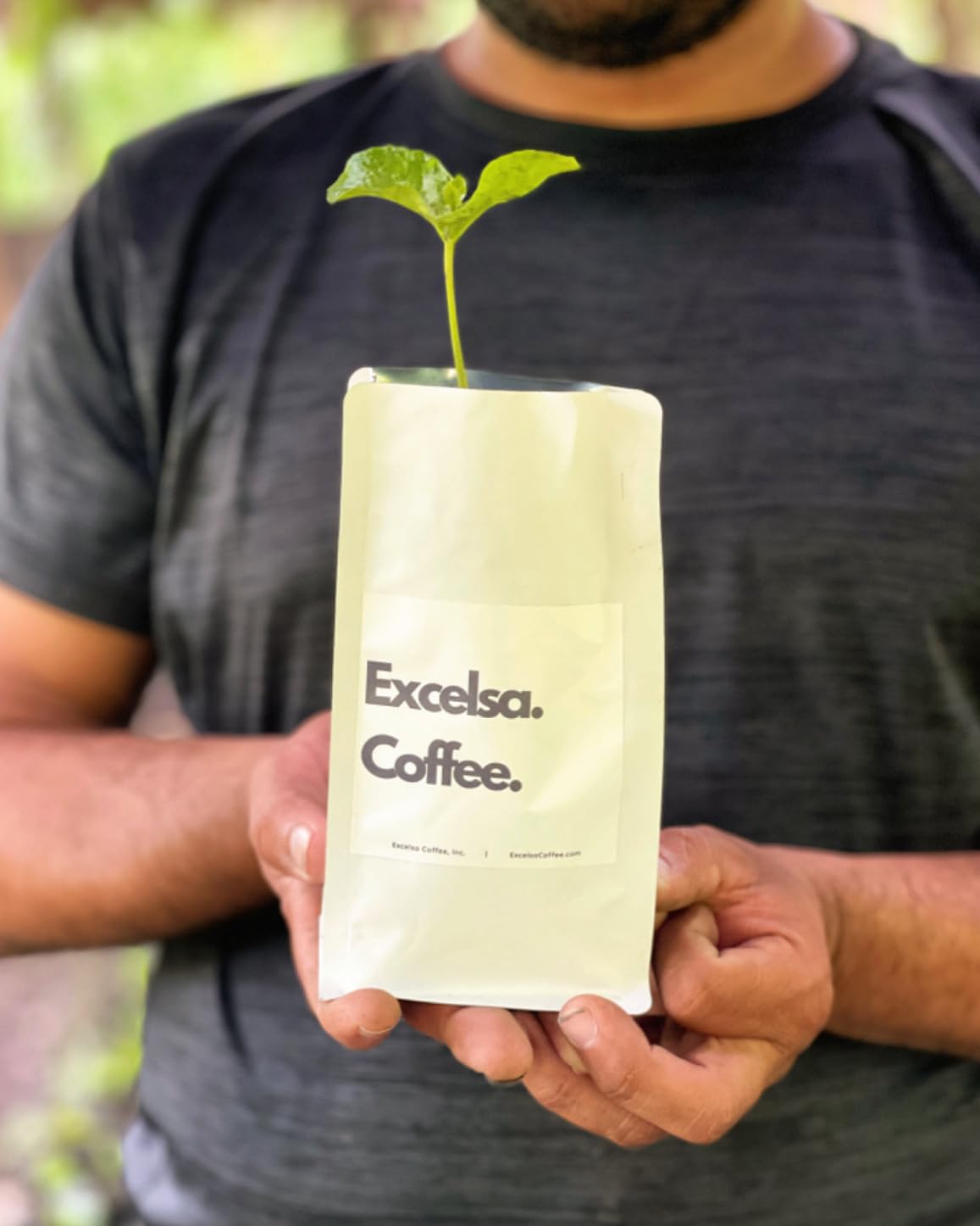 smooth-bold-flavor-whole-beans