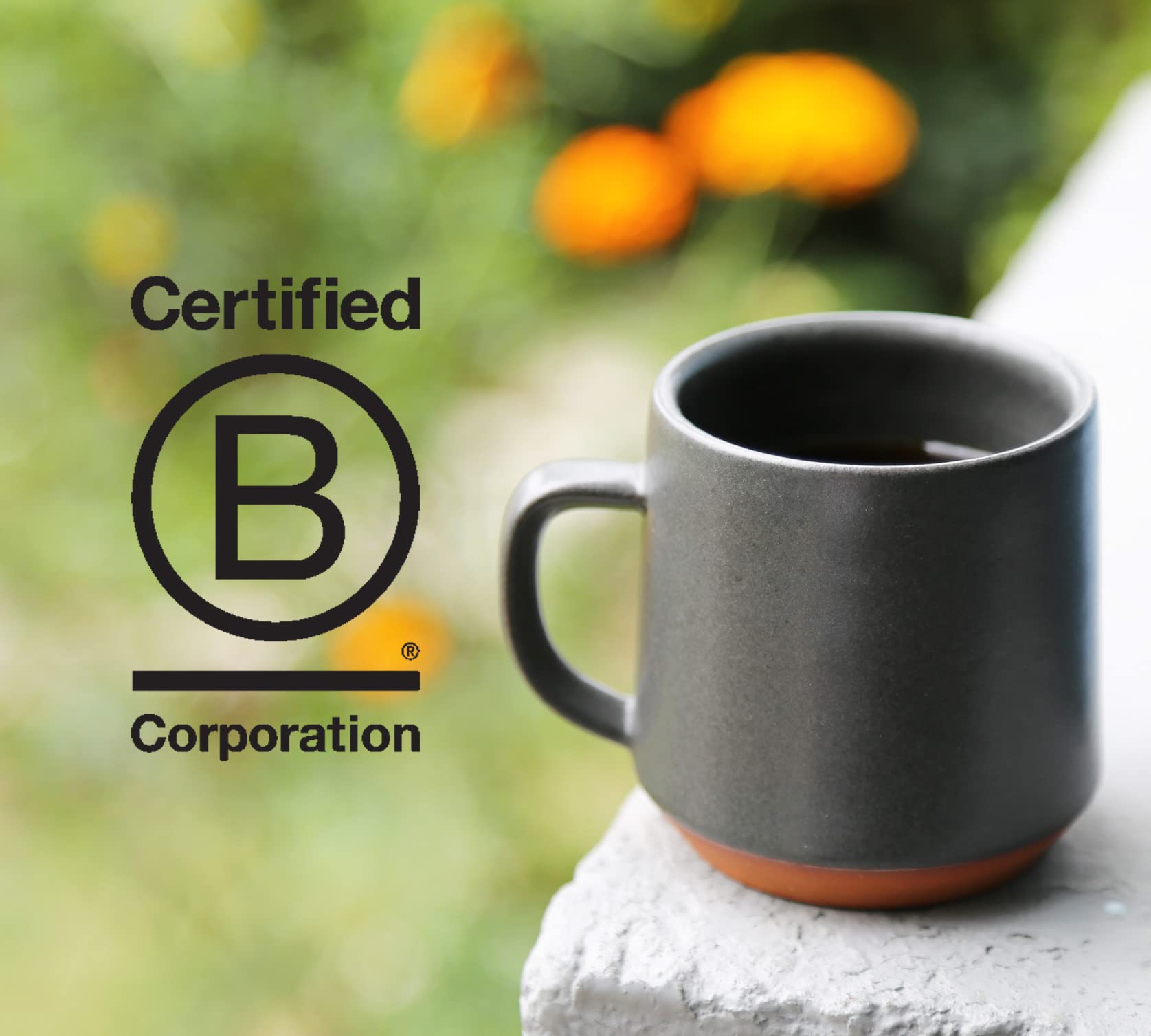 top-rated-whole-beans-counter-culture-coffee