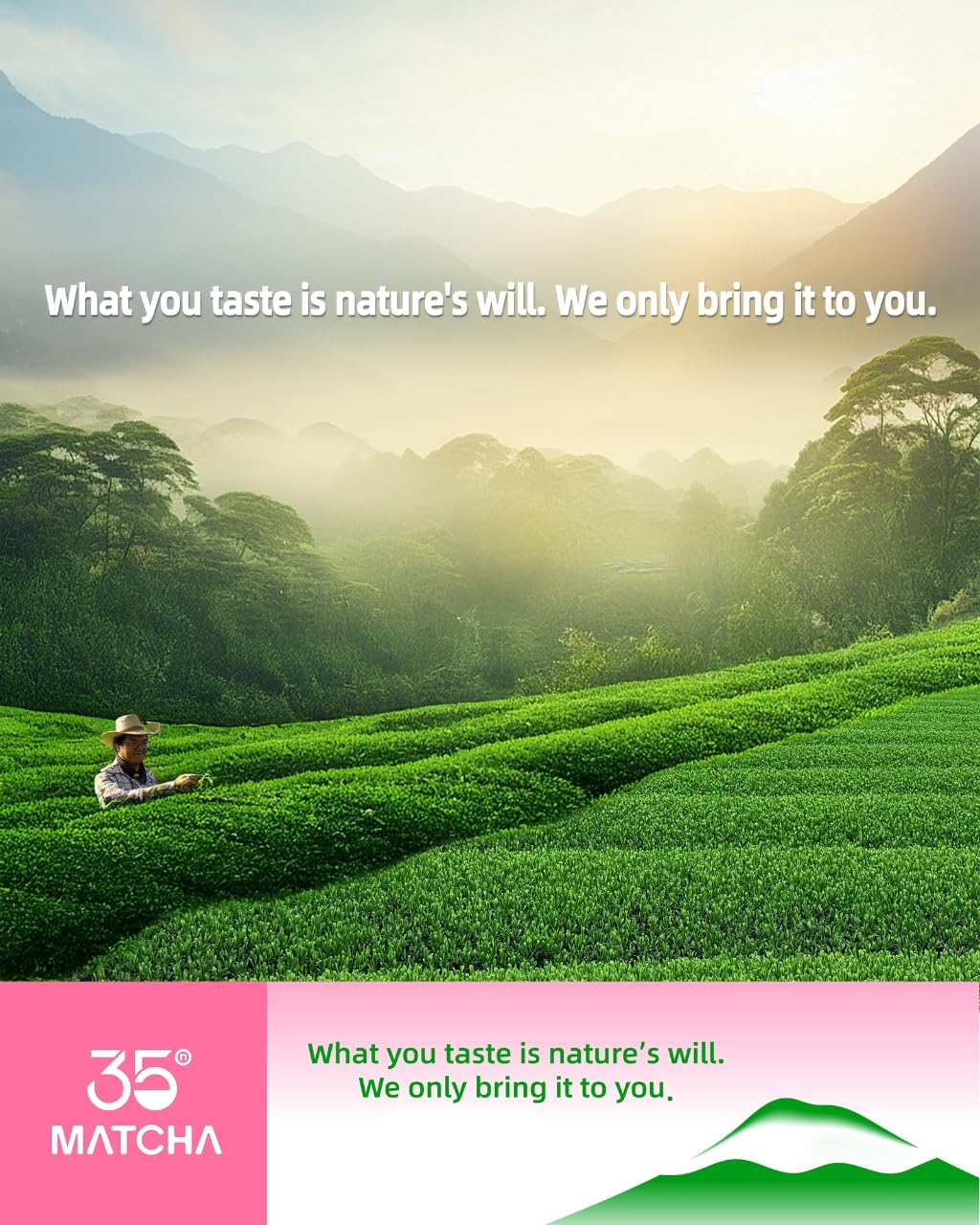 smooth-bold-flavor-matcha-powder