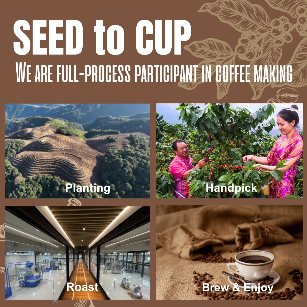 rich-full-bodied-whole-beans