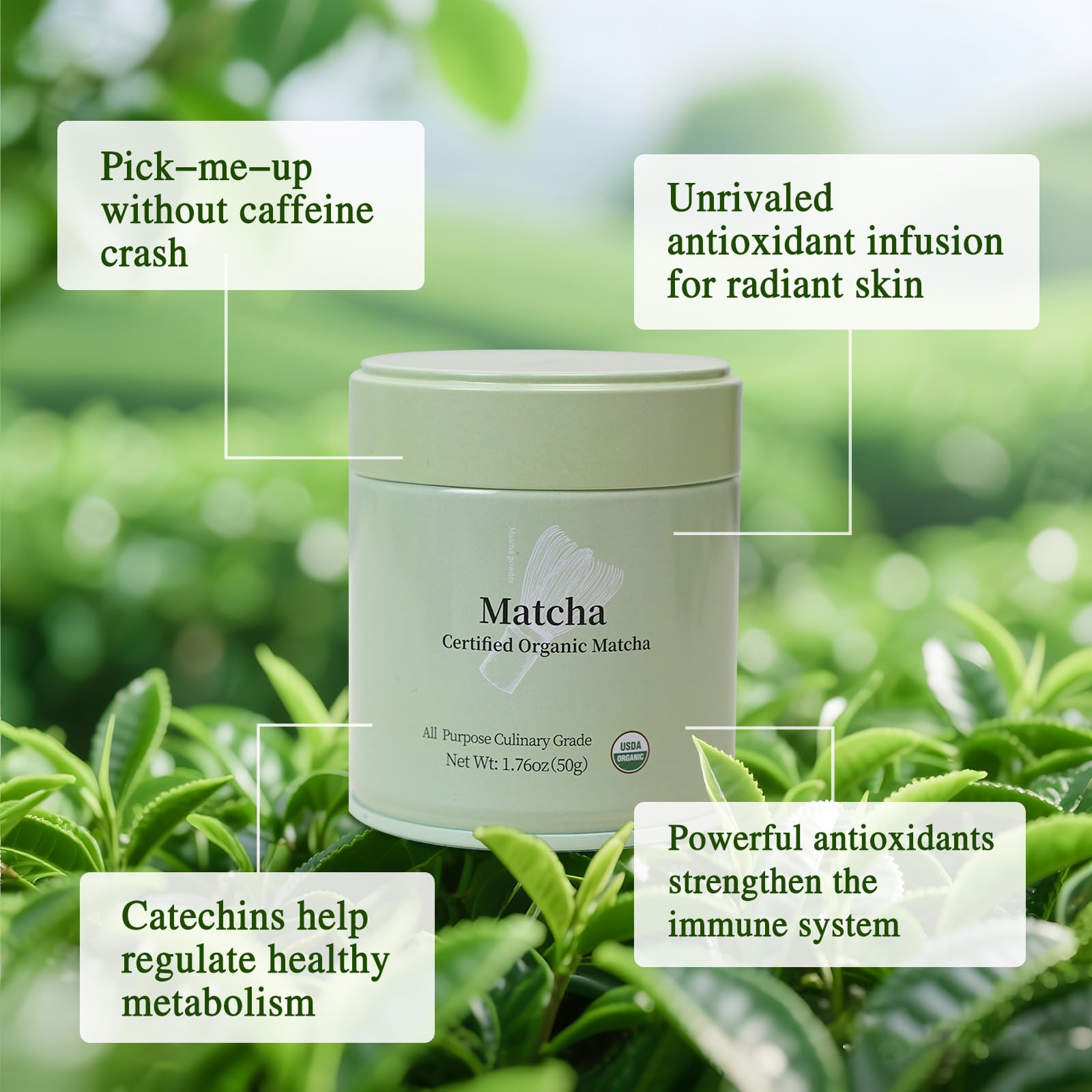 affordable-matcha-powder