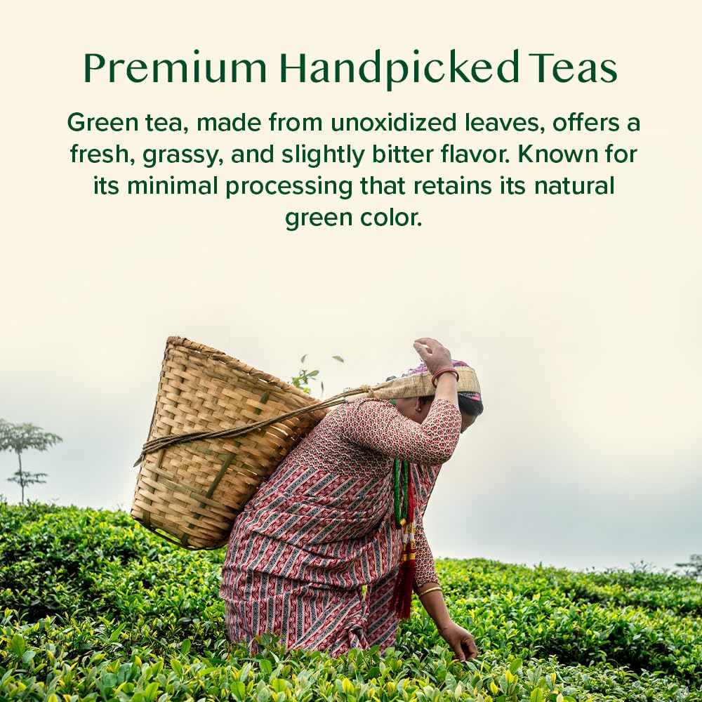 convenient-matcha-powder-multi-serve