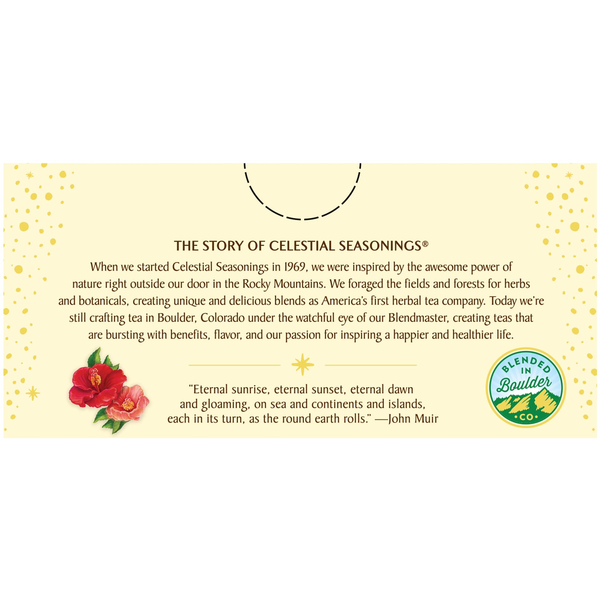 convenient-instant-tea-multi-serve