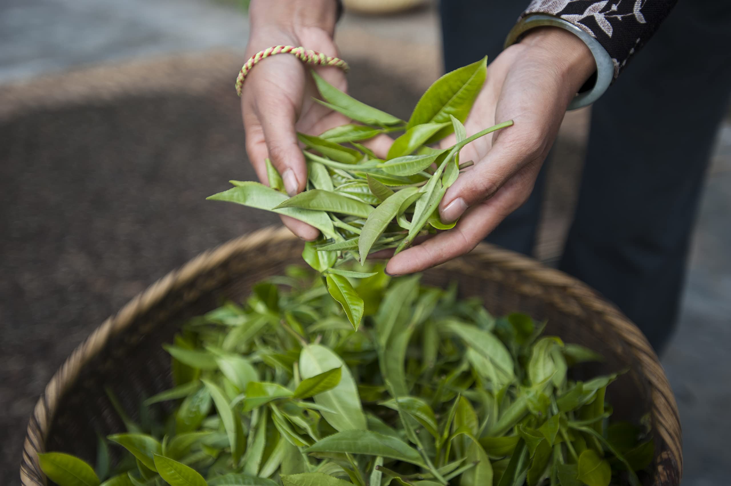 easy-to-brew-rooibos-tea
