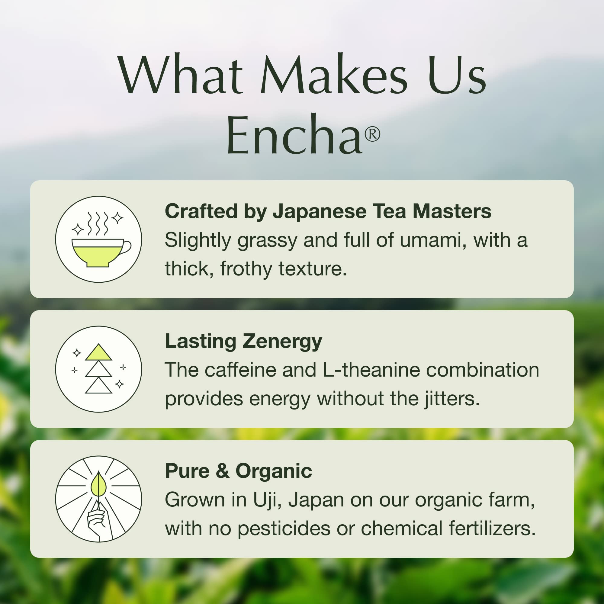 premium-matcha-powder-encha